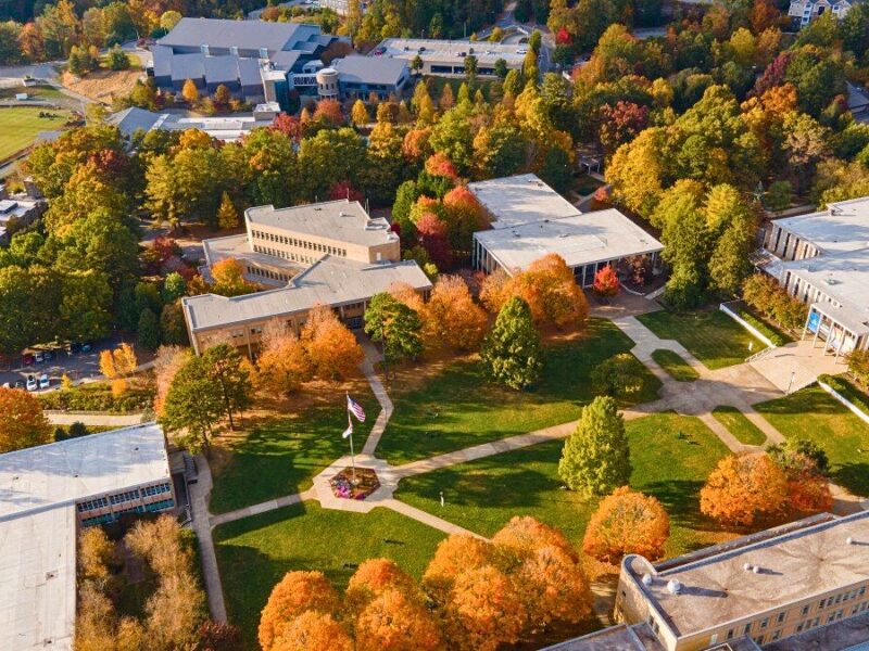 UNC Asheville Halts